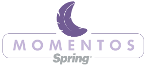 Logo Momentosspring